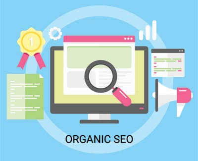 Organice Search & Trust